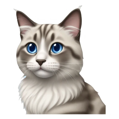 Ragdoll cat, gray tabby stripes on edges of face, blue eyes  sticker