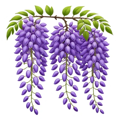 wisteria sticker