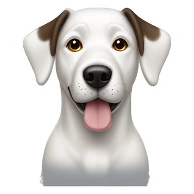 white dog with one dark brown ear sticker