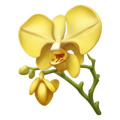 Yellow orchid sticker