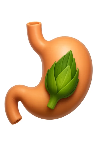 emoji stile iphone 3d di uno stomaco umano con una foglia di carciofo dentro, iperrealistico 4k sticker