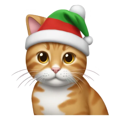 A cat with Christmas beanie  sticker