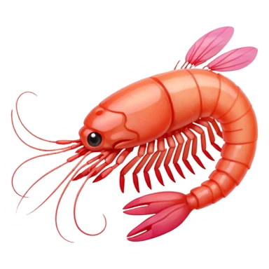 shrimp mini sticker