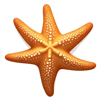 a starfish tanning sticker