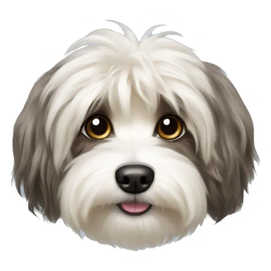 havanese silk dog sticker