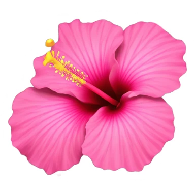 Pink Hibiscus  sticker