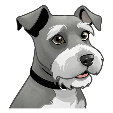 Grey mini schnauzer  sticker