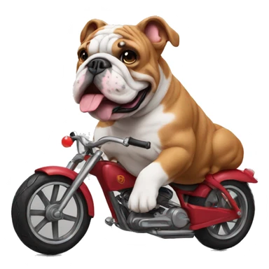 rose bulldog on a bike sticker
