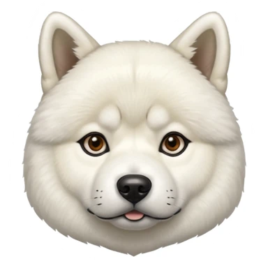 WhiteAmerican Akita  sticker