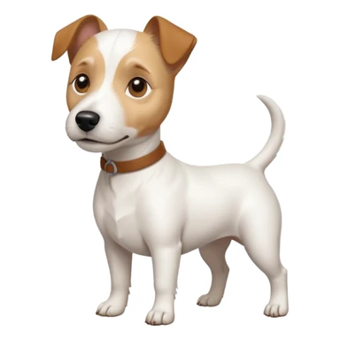 a full body white jack russel looking dog the size of a kelpie with light brown ears and a light brown patch on one eye and a large snout sticker
