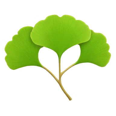 Ginkgo biloba sticker