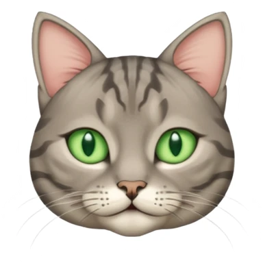 scottish cat with ears folded down sticker