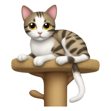 Cat on a cat tree sticker