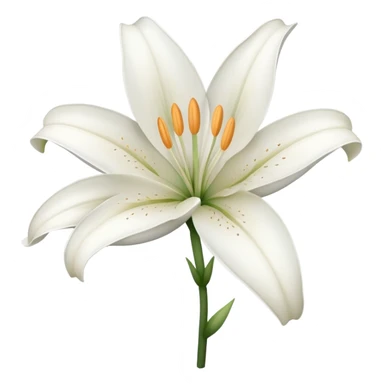 lily without leaf sticker
