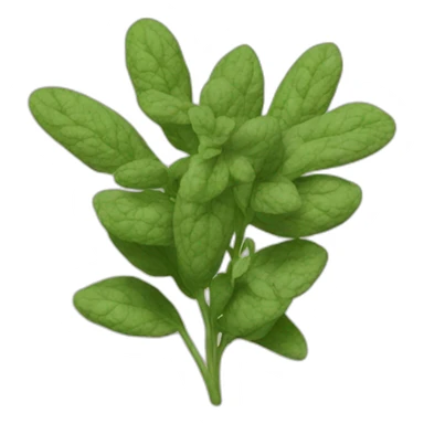 Oregano sticker