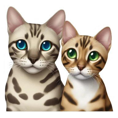 Seal Bengal cat with Blue eyes + charcoal Sepia bengal cat with Green eyes sit Next to each other  sticker