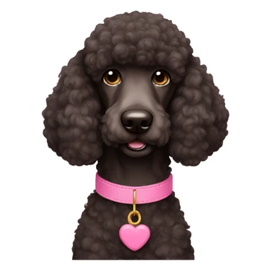 black brown standard poodle pink collar sticker