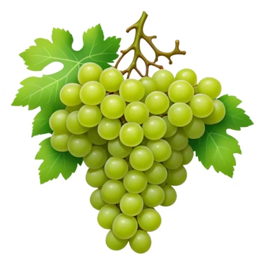 Grapes sticker