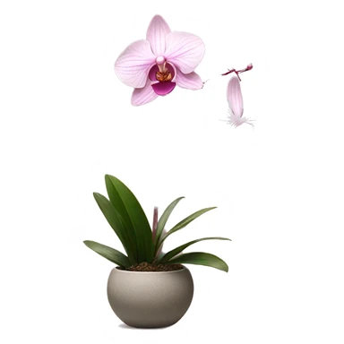 Ikebana orchid pink dainty plant sticker