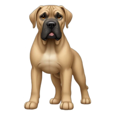 dog Cane Corso color fawn full body sticker
