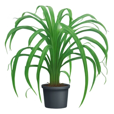 Cartoon spider plant sticker
