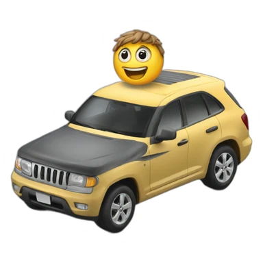 idiot on a car sticker