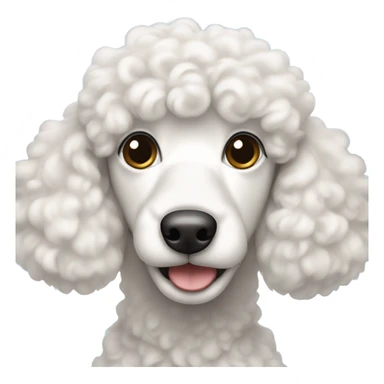 caniche white curly ears sticker