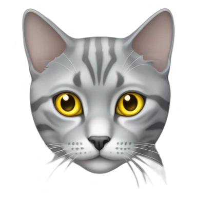 Silver marble Scottish straight cat with yellow eyes sticker