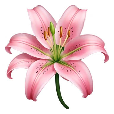 light pink lilium sticker