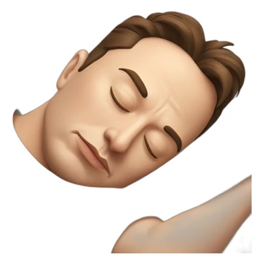 Elon musk sleeping sticker