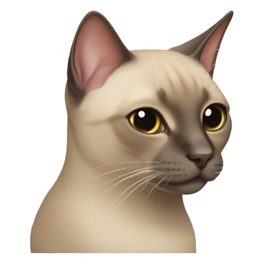mink tonkinese cat sticker