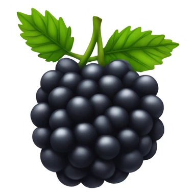 blackberry sticker