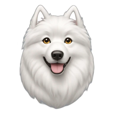 Samoyedo blanco sticker