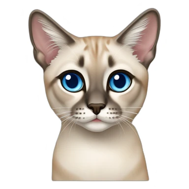 lynx-point-siamese-cat-blue-eyes sticker