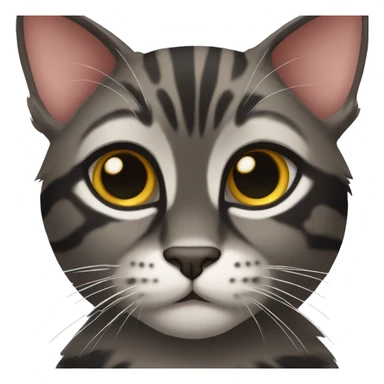 Cute myan coon cat sticker