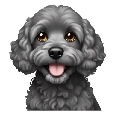 Dark grey cavapoo dog sticker