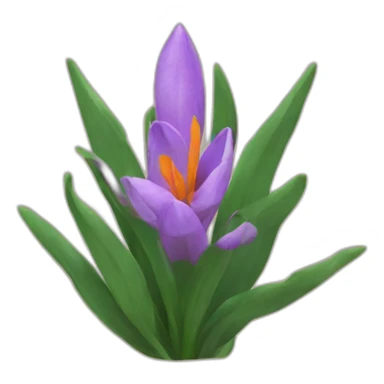 Curcuma sticker