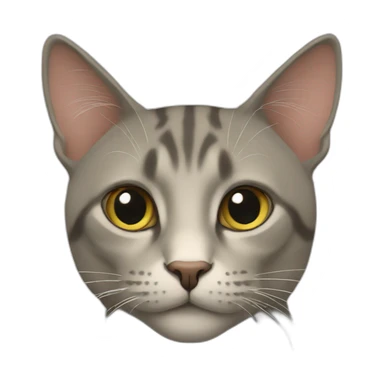 caat sticker