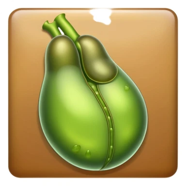 Gallbladder (organ situated under the liver)  sticker