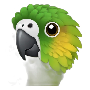 Une conure molinae sticker