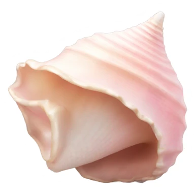 realistic light pink conch shell sticker