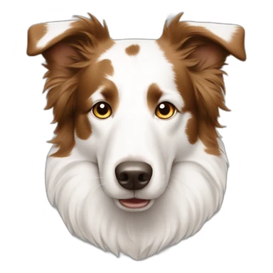 Border collie white with light brown spots sticker