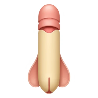 
Create an educational emoji of a male reproductive organ (penis) in a simplified cartoon style, flat 2D colors, Android emoji style, with clear outlines, neutral color, for teaching anatomy, 64x64 PNG, transparent background. sticker