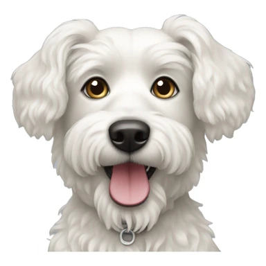 caniche white dog sticker