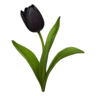 black tulip sticker
