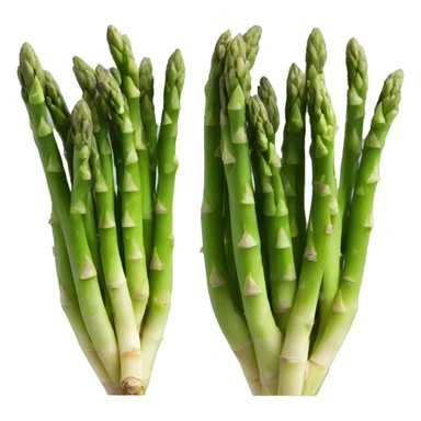 Asparagus sticker
