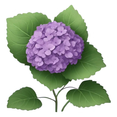 Purple hydrangea  sticker