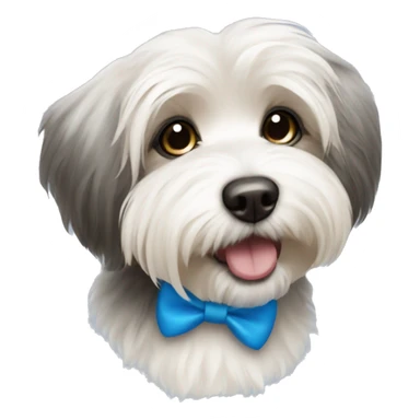 havanese dog with blue bow sticker