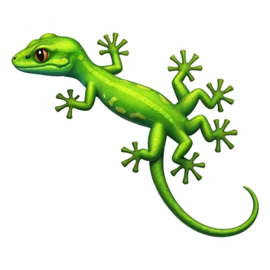 gecko  sticker