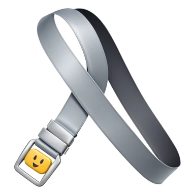 plane seat belt sticker